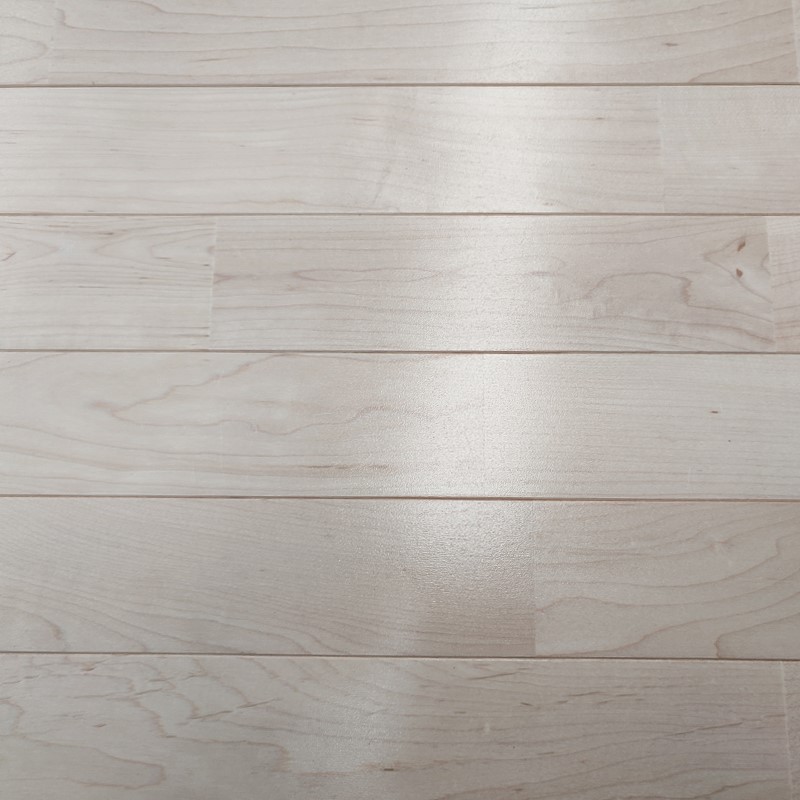 楓木A級(jí) 楓木A級(jí)